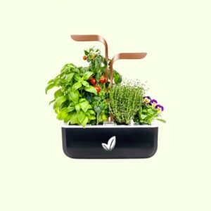 kit potager connecte noir