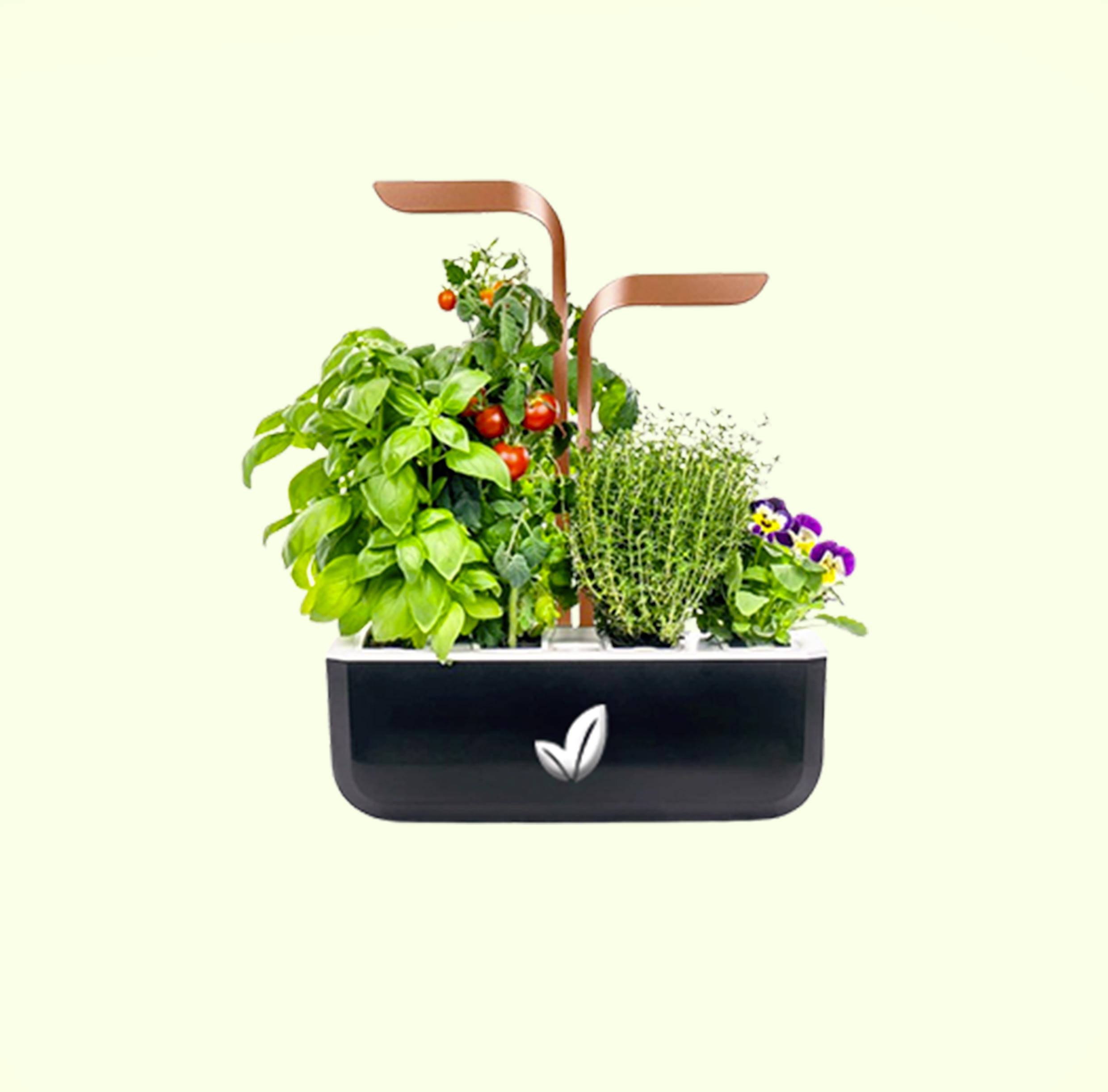 kit potager connecte noir