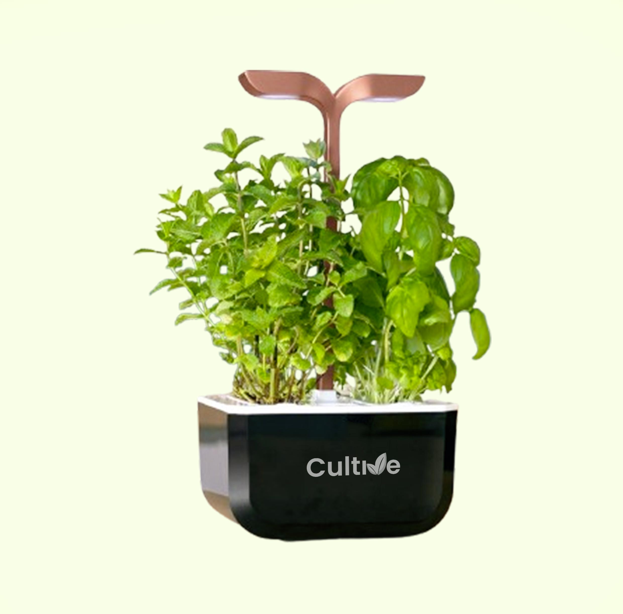 Potager Int&eacute;rieur Lumi&egrave;re Variable