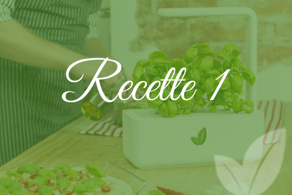 Recette 1 : Cultive
