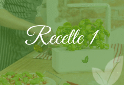 Recette 1 : Cultive