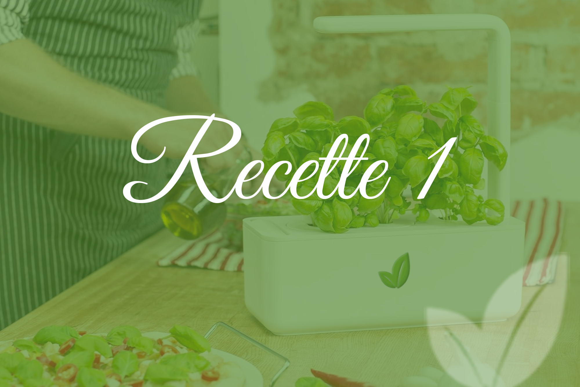 Recette 1 : Cultive