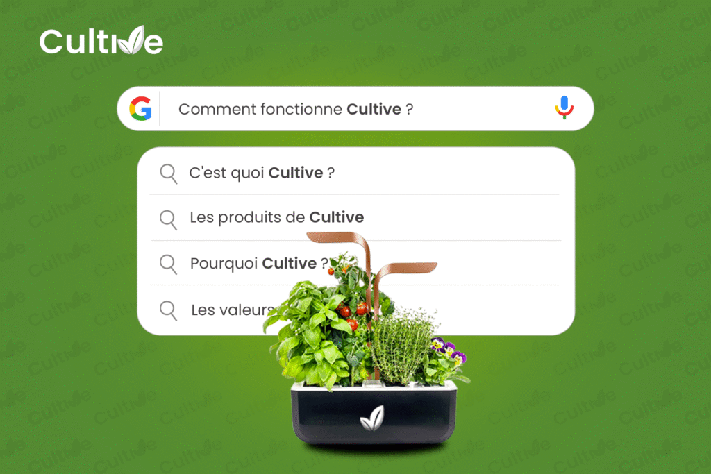 Comment fonctionne Cultive ?