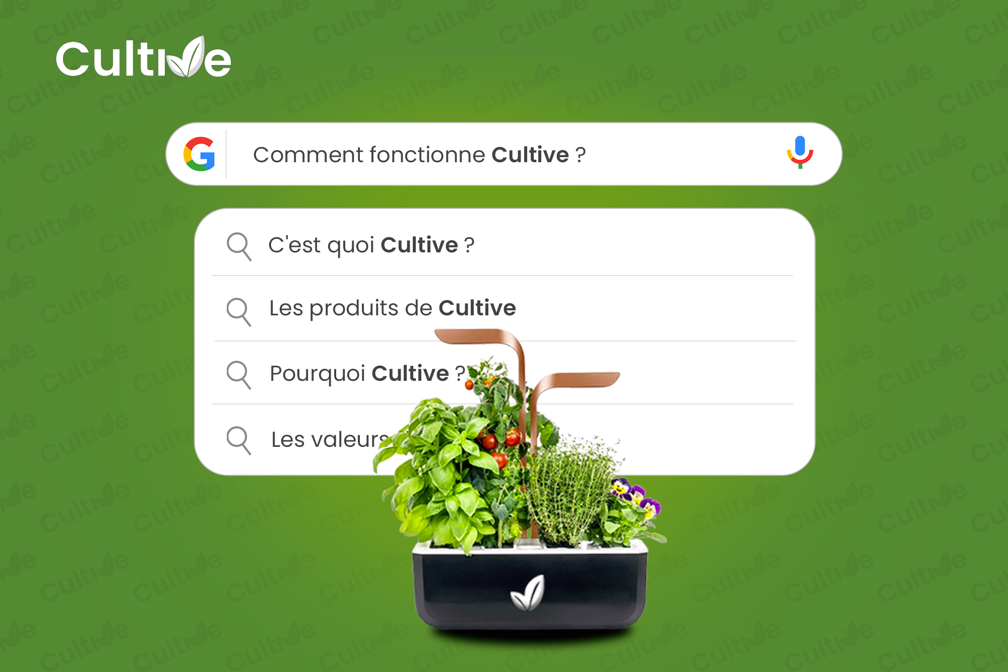 Comment fonctionne Cultive ?