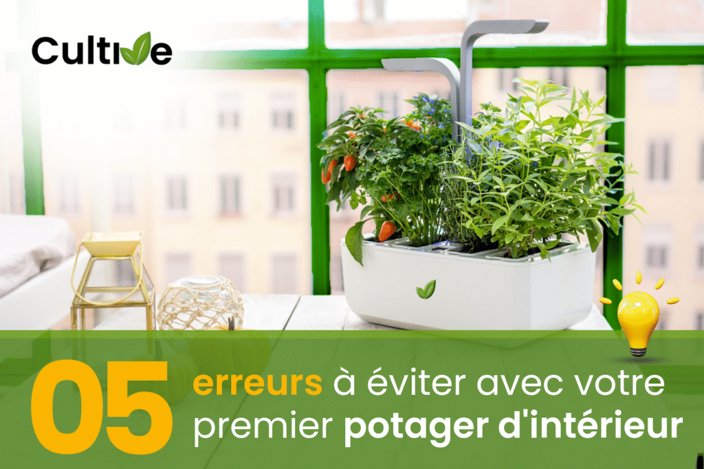 05 erreurs &agrave; &eacute;viter avec votre potager d'int&eacute;rieur