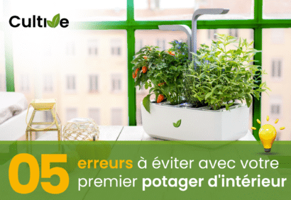 05 erreurs &agrave; &eacute;viter avec votre potager d'int&eacute;rieur