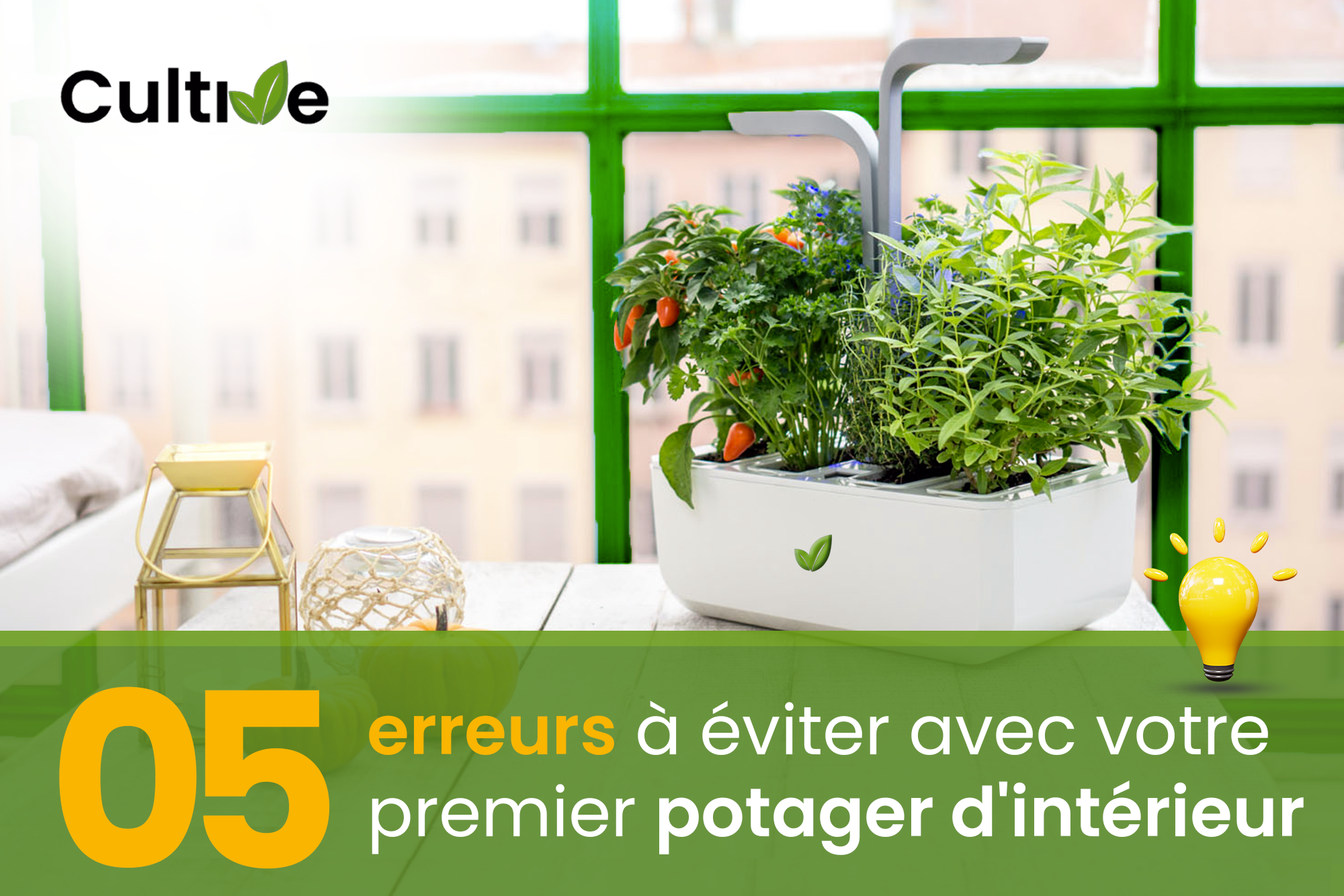 05 erreurs &agrave; &eacute;viter avec votre potager d'int&eacute;rieur