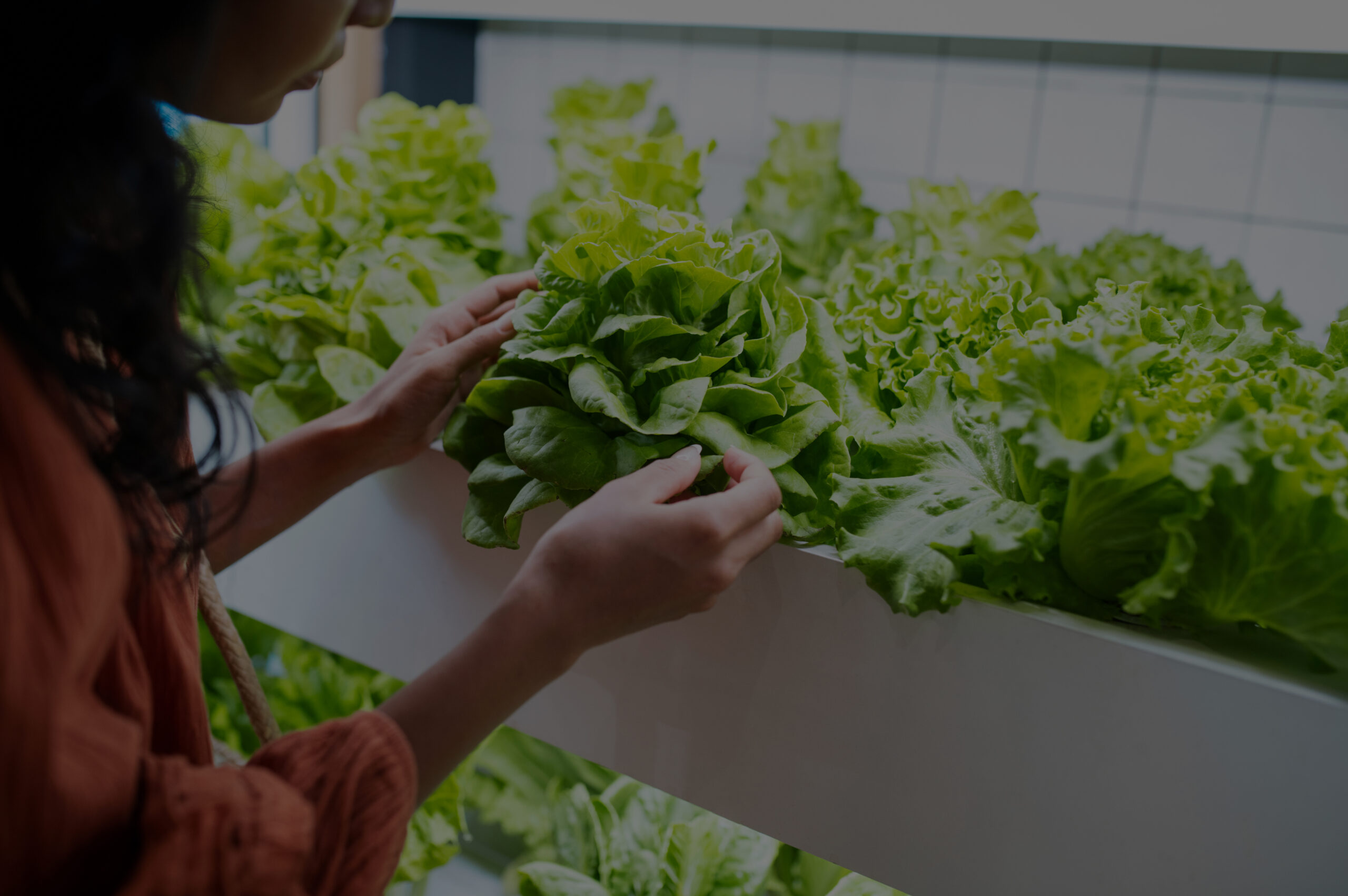 woman holding salad