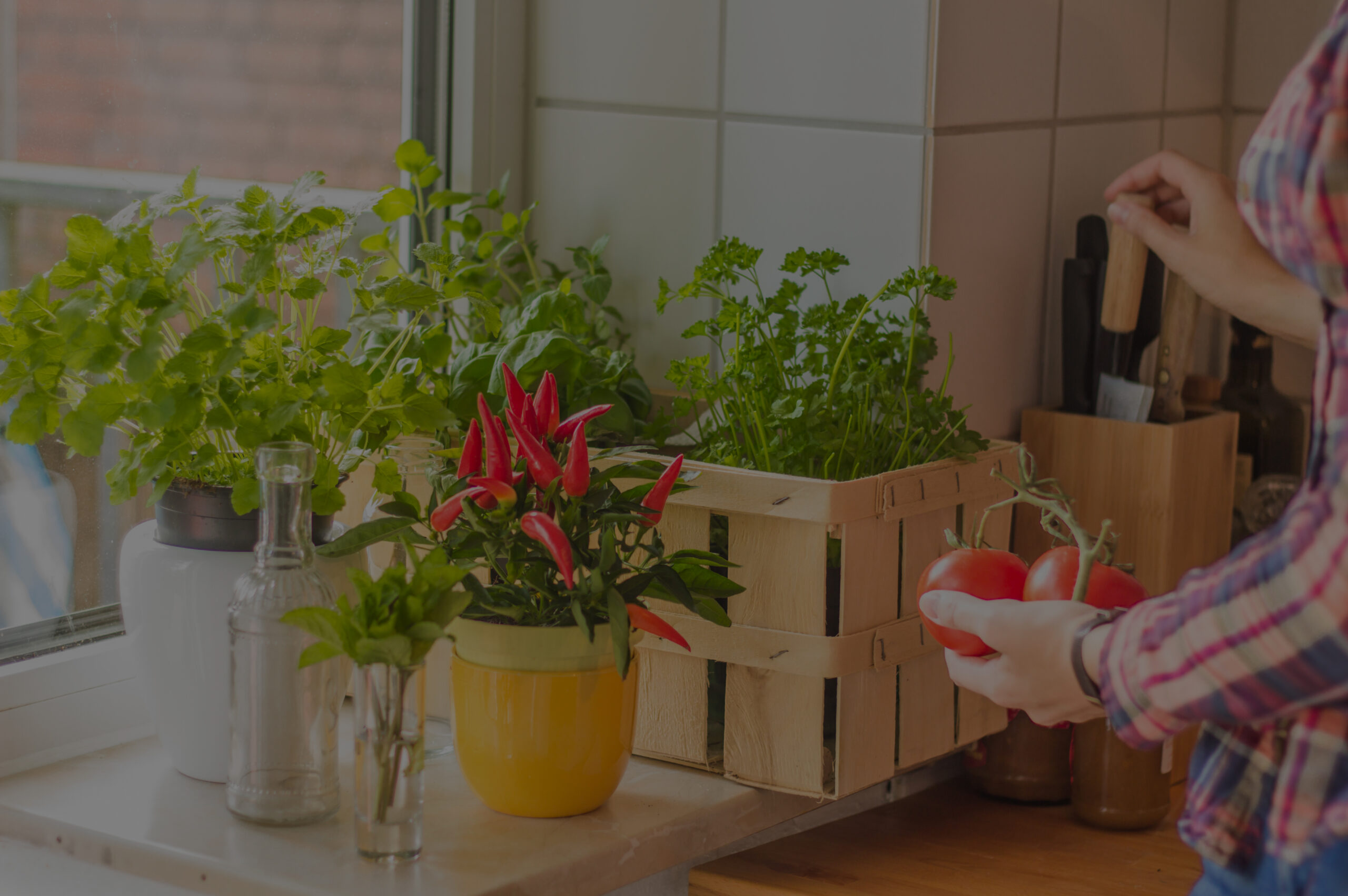 woman holding tomatoes